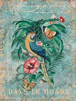 Eine Reise in die Südsee