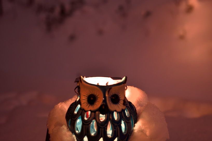Snowowl von Christer Andersson