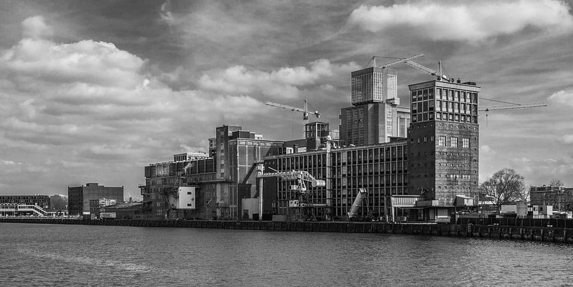 Rotterdam Rijnhaven par Emajeur Fotografie