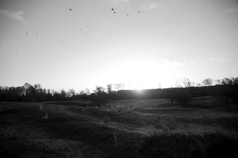 Morning glow by Greetje Heemskerk