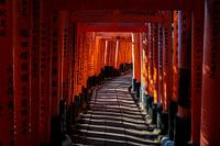 Fushimi Inari
