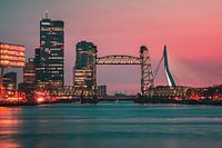 The Bridges of Rotterdam