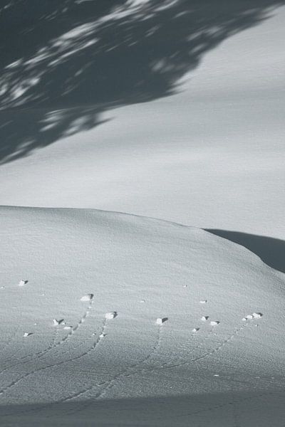 Schatten im Schnee von Sophia Eerden