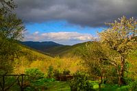 Val d'Arrone Spring morning