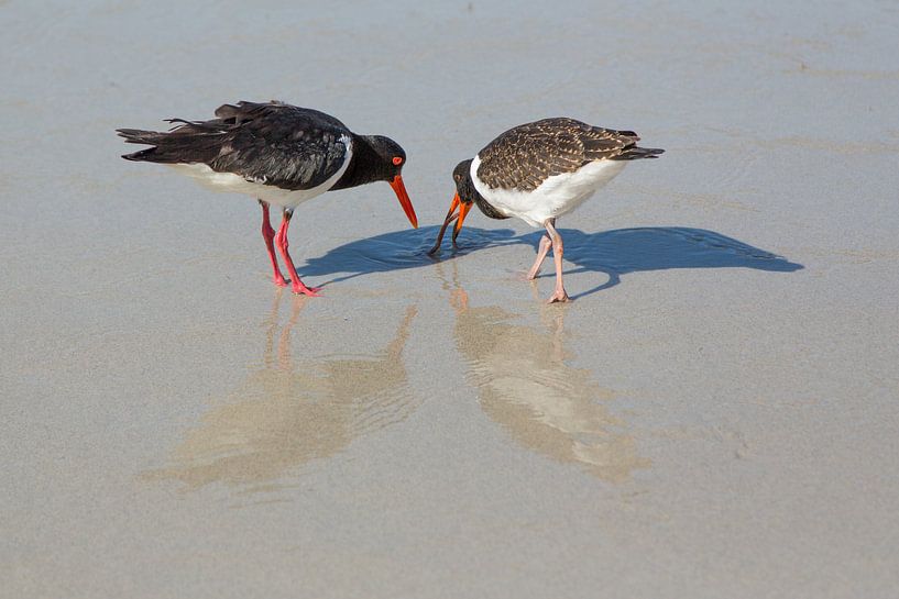 Moeder en kind scholekster von Joke Beers-Blom