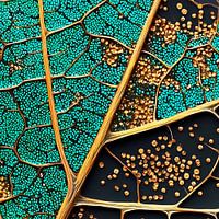 Juwel der Natur's Juwel