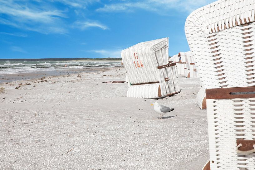 Chaises de plage sur l'île de Darß par t.ART