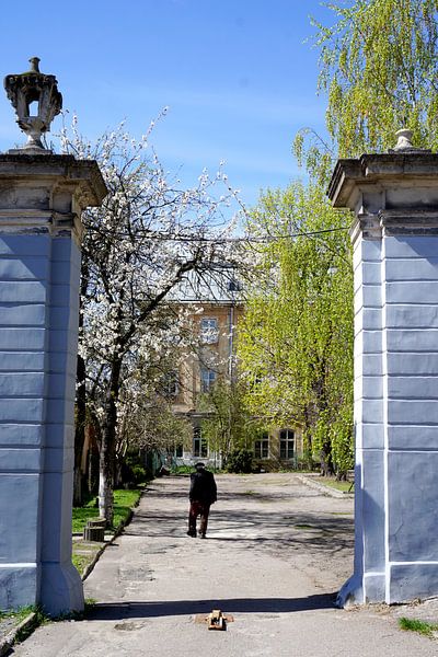 Altes und neues Leben von Mathieu Klomp