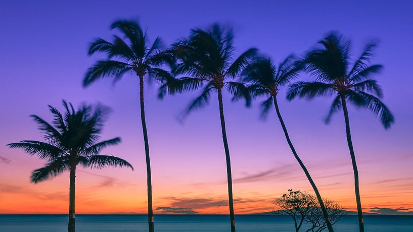 Sonnenuntergang auf Maui von Henk Meijer Photography