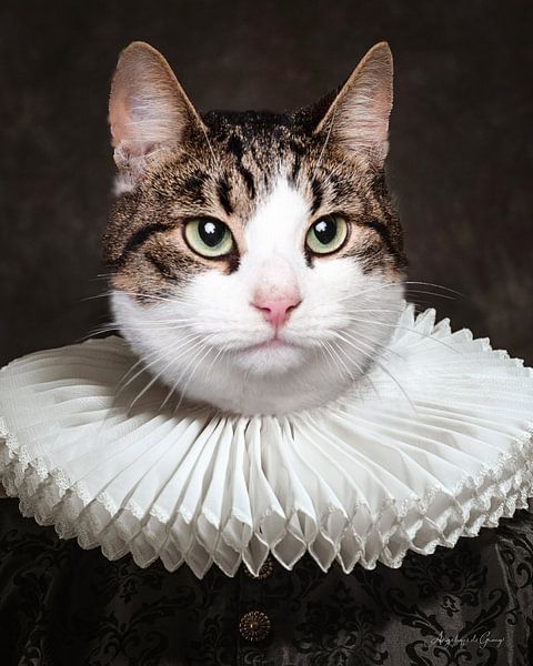 Emperor Zuki by Angelique de Graay