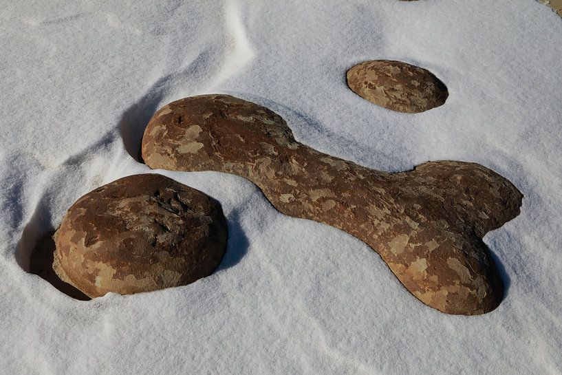 Zone d'étude sauvage d'Ah-Shi-Sle-Pah en hiver avec de drôles de figures en pierre, Nouveau-Mexique, par Frank Fichtmüller