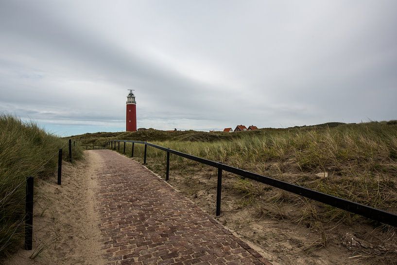 Texel von Rene Kuipers