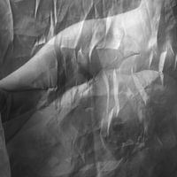 Fine Art Aktfotografie