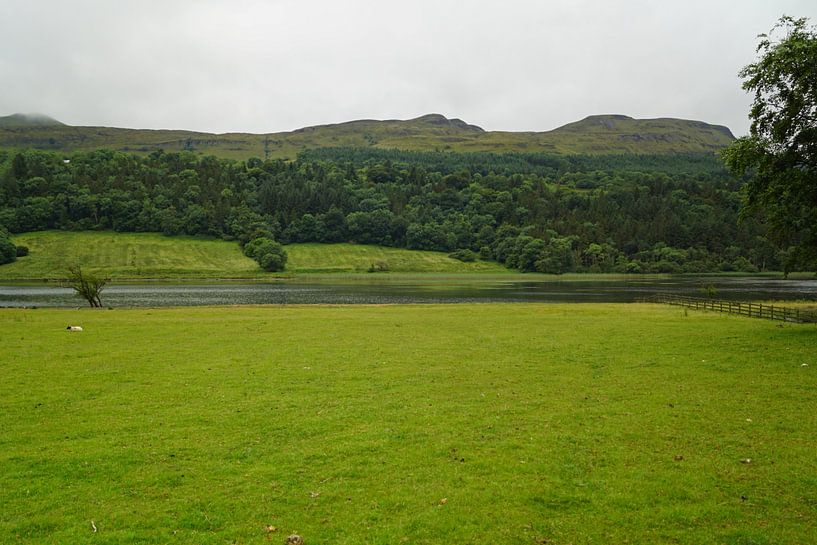 Landschaft in Irland von Babetts Bildergalerie