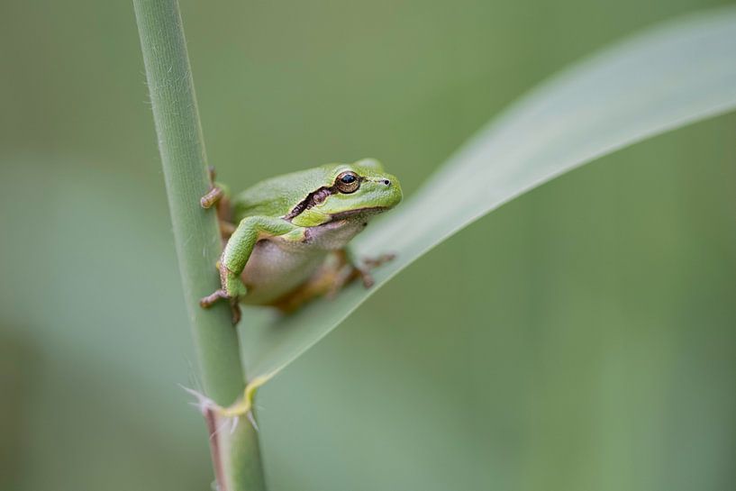 Bleiben Sie dran! von Larissa Rand