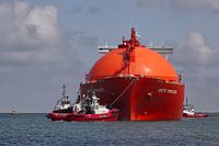 Arctic Princess - Aankomst in veilige haven