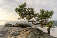 Elbe Sandstone Mountains