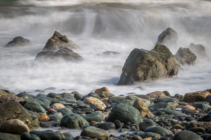 Ein Elefant im Meer von As Janson