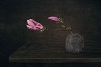 Nature morte moderne Magnolia