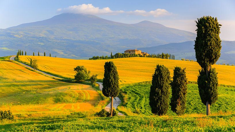 Evening light in Val d'Orcia, Tuscany, Italy by Henk Meijer Photography