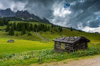 Alpine Meadow at Hochkonig