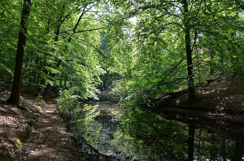 Bossloot von Frank de Ridder