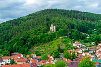 Sommerliche Entdeckungstour durch den Thüringer Wald bei Steinbach-Hallenberg - Thüringen
