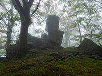 Schlafender Riese im Märchenwald