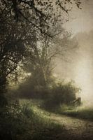 Nebel am frühen Frühlingsmorgen