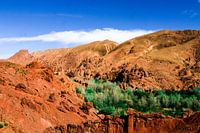 Dates des gorges au Maroc