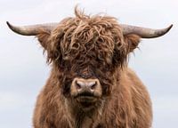 Portrait d'un Highlander écossais