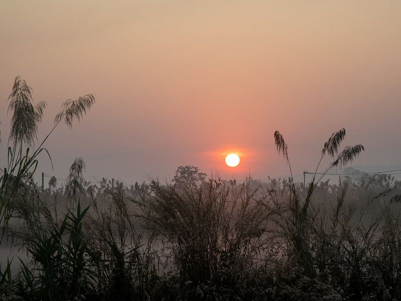 nebliger sonnenaufgang von Alex Neumayer