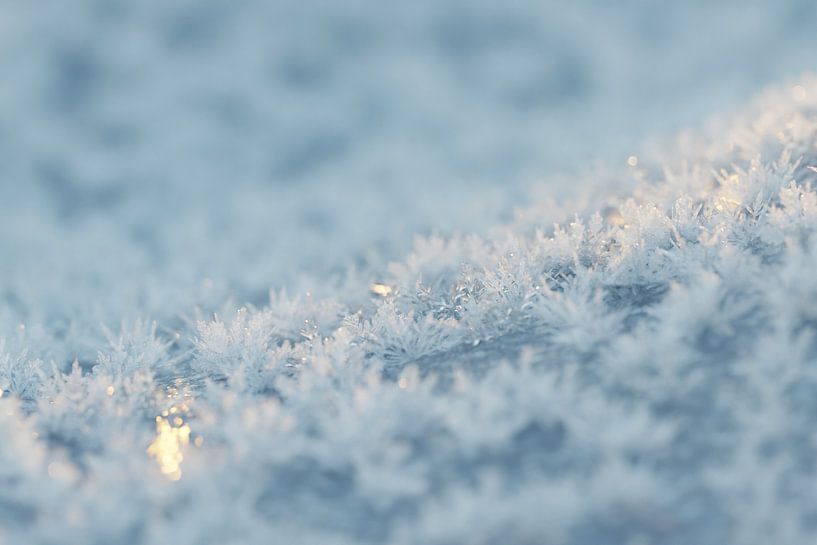 Schneekristalle im Abendlicht von Besa Art
