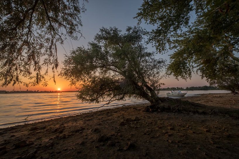Mangrove dans la Betuwe par Moetwil en van Dijk - Fotografie