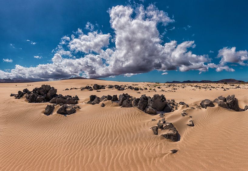 Parque Natural Corralejo, Fuerteventura, Kanarische Inseln, Spanien von Rene van der Meer