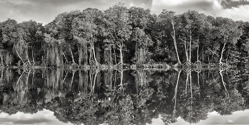 Panorama Mangroven Brunei von Wuzitours Fotografie