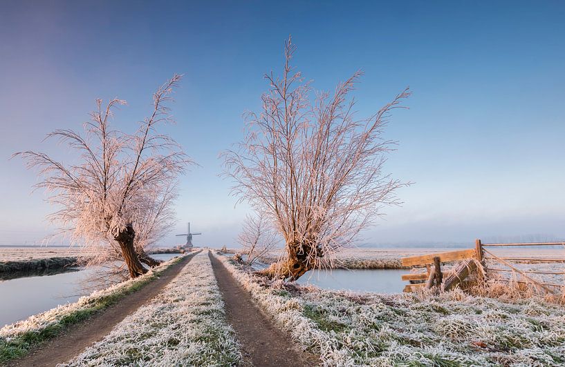 White World by Jan Koppelaar Fotografie
