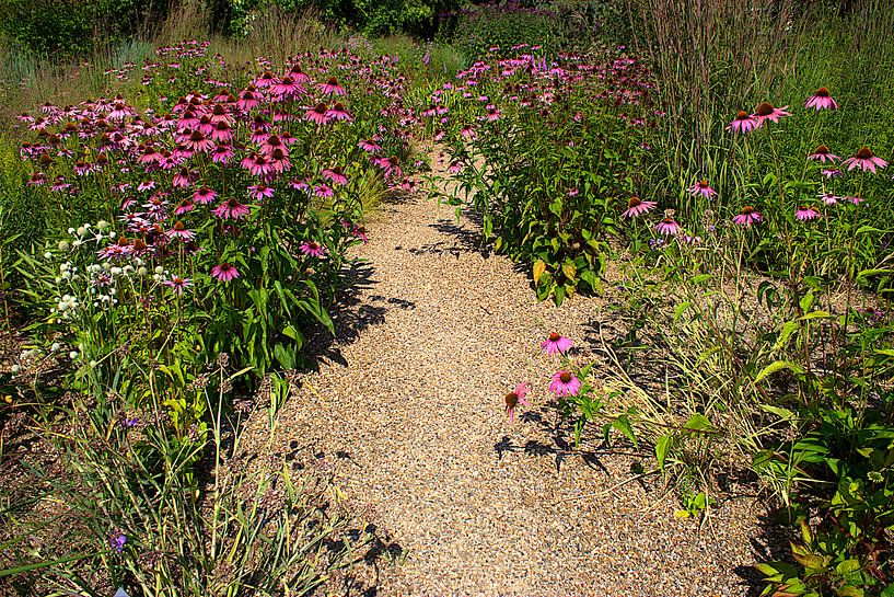 Verträumte Wege von Werner Hilpert