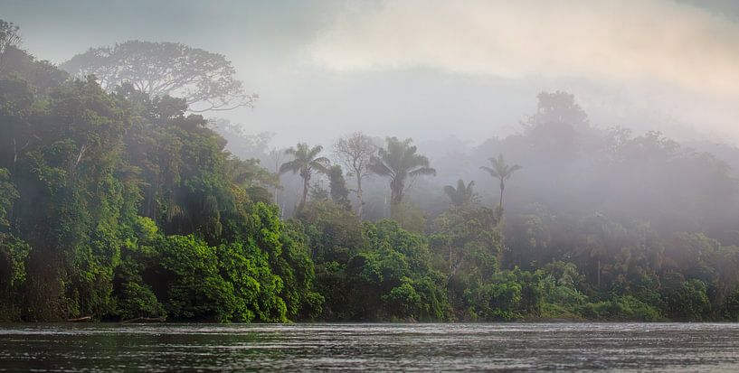 Rivière Suriname à Awaradam dans le brouillard au lever du soleil. par René Holtslag