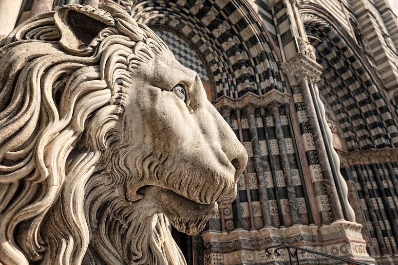Tête de lion à l'entrée de la cathédrale St Laurent dans la ville italienne de Gênes par gaps photography