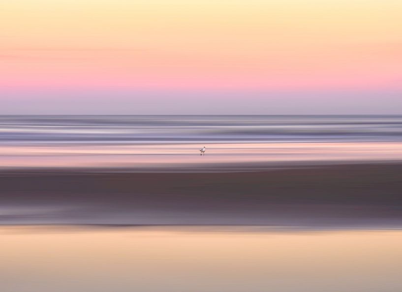 Die Möwe von Leon Brouwer