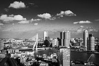 B&W Skyline of Rotterdam