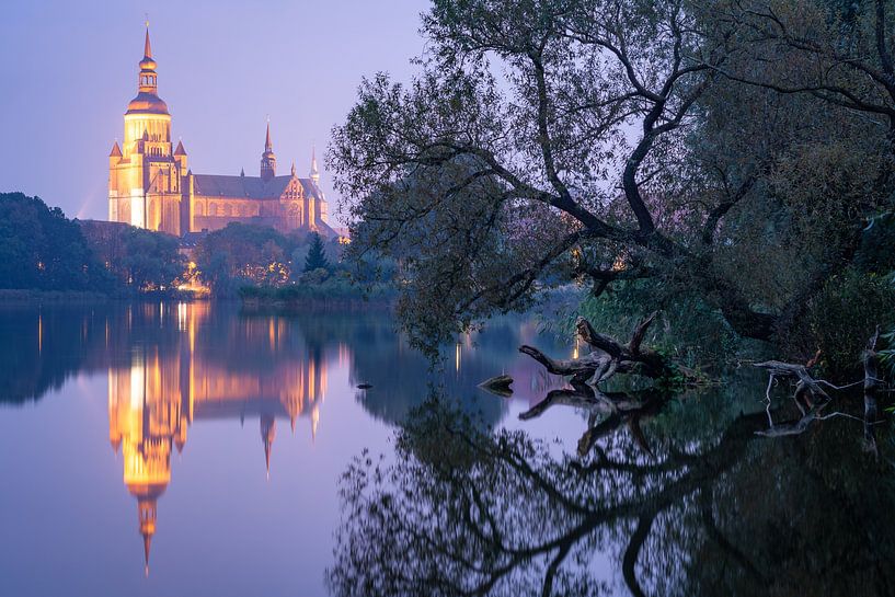 Blaue Stunde in Stralsund von Martin Wasilewski
