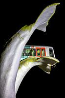 Sauvé par une queue de baleine