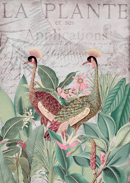 Cranes Nostalgic Journey par Andrea Haase