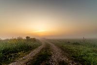 Zonsopgang in de Onlanden