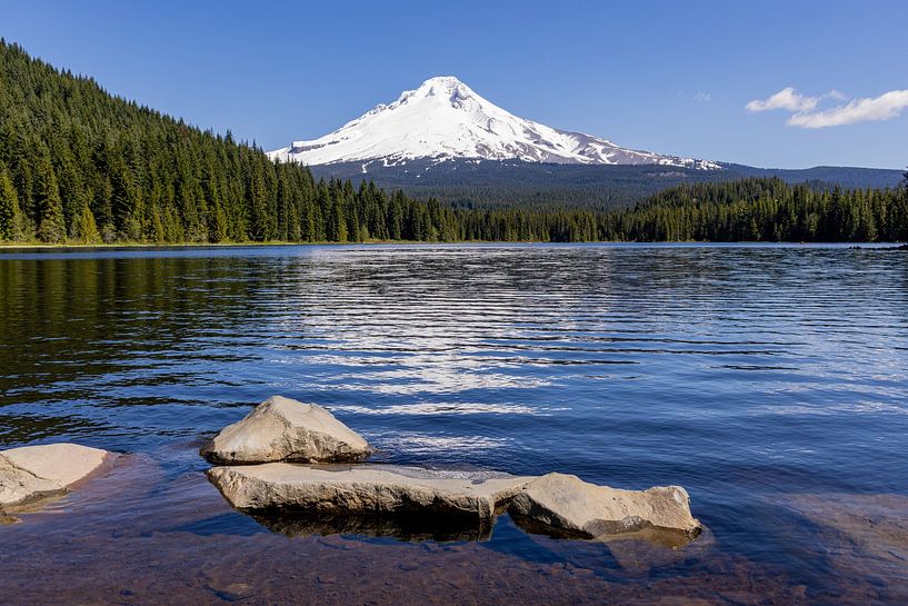 Mt Hood from Trillium Lake, Oregon, United States by Adelheid Smitt