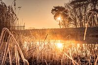Lever de soleil orange se reflétant dans l'eau avec des roseaux pleins de givre, le premier givre