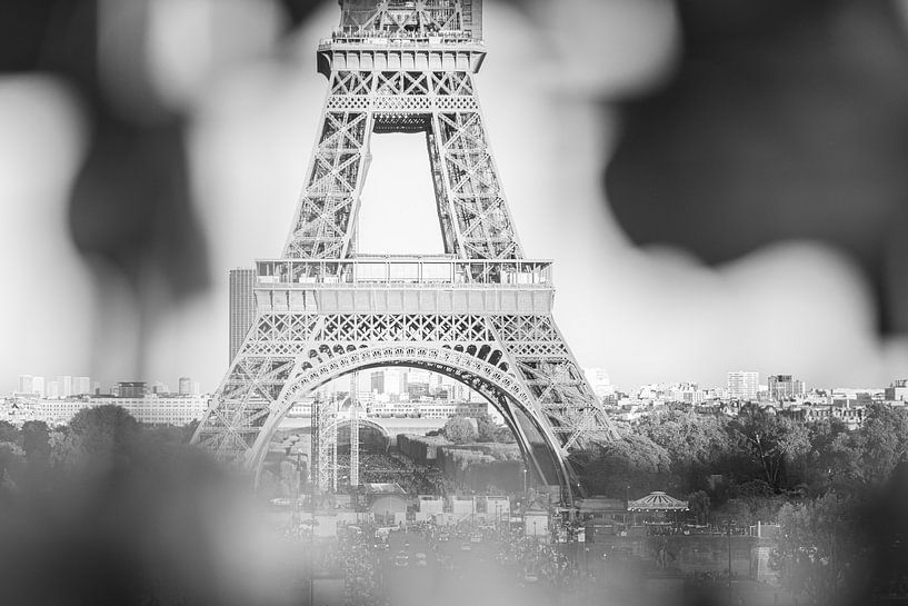 Unusual view of the Eiffel Tower in Paris by Melissa Peltenburg
