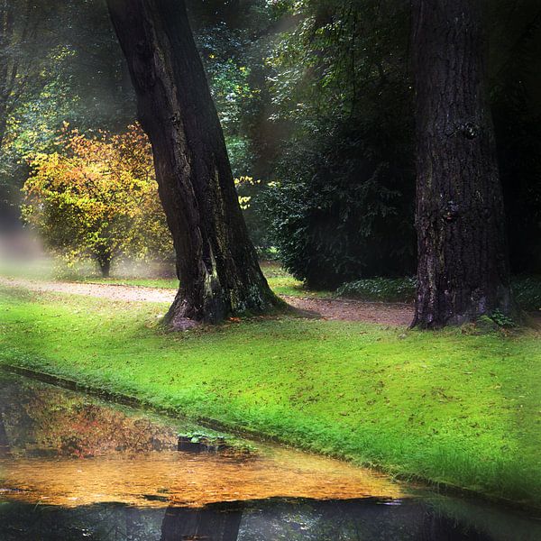 Lazy Afternoon  by Sandra Akkerman